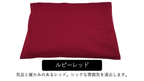 【洗えて清潔 】珪藻土の約２.５倍乾燥力 CMSエアロゲルバスマット10TH　特別限定品