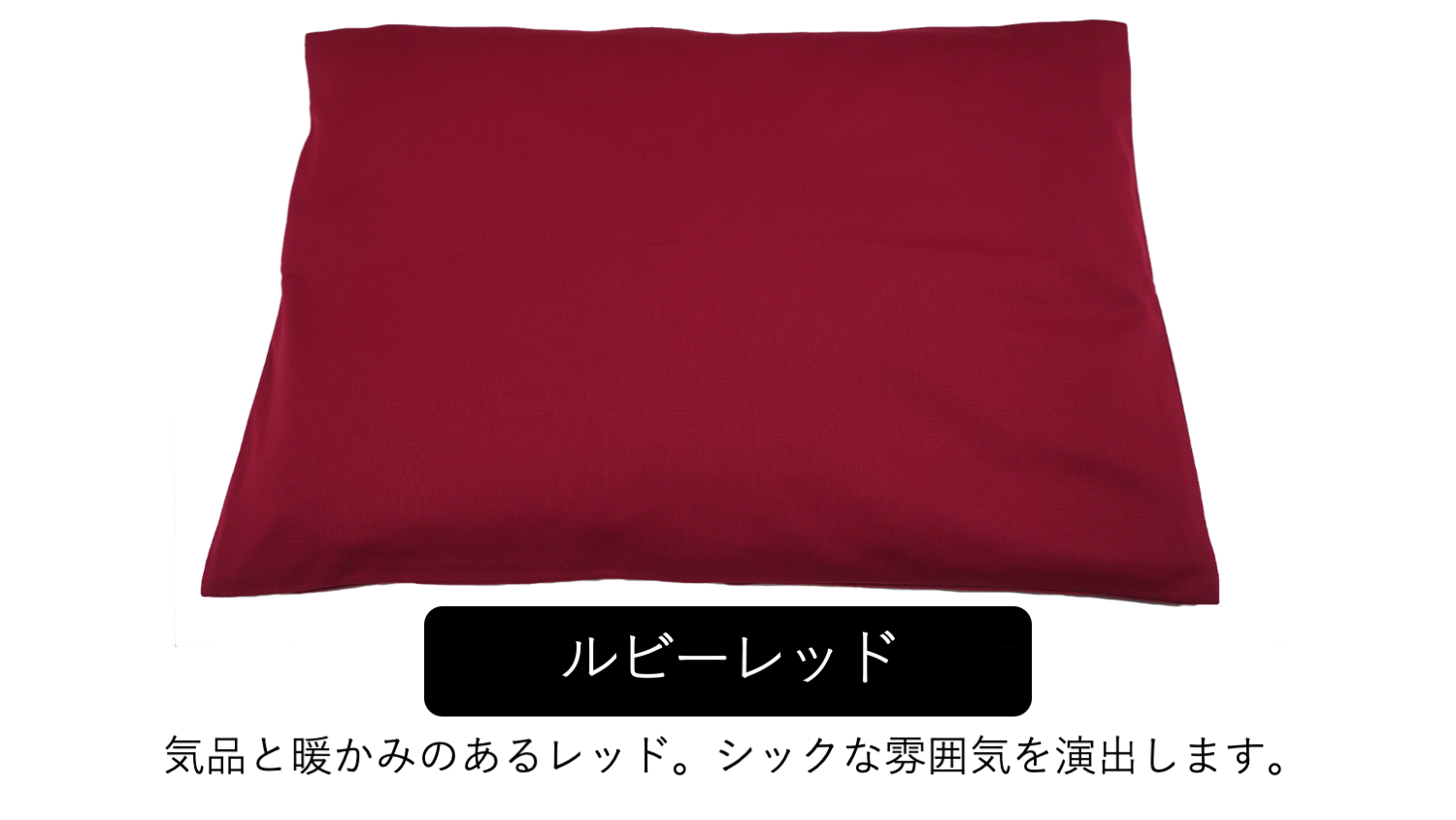 【洗えて清潔 】珪藻土の約２.５倍乾燥力 CMSエアロゲルバスマット10TH　特別限定品