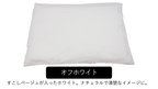 【洗えて清潔 】珪藻土の約２.５倍乾燥力 CMSエアロゲルバスマット10TH　特別限定品